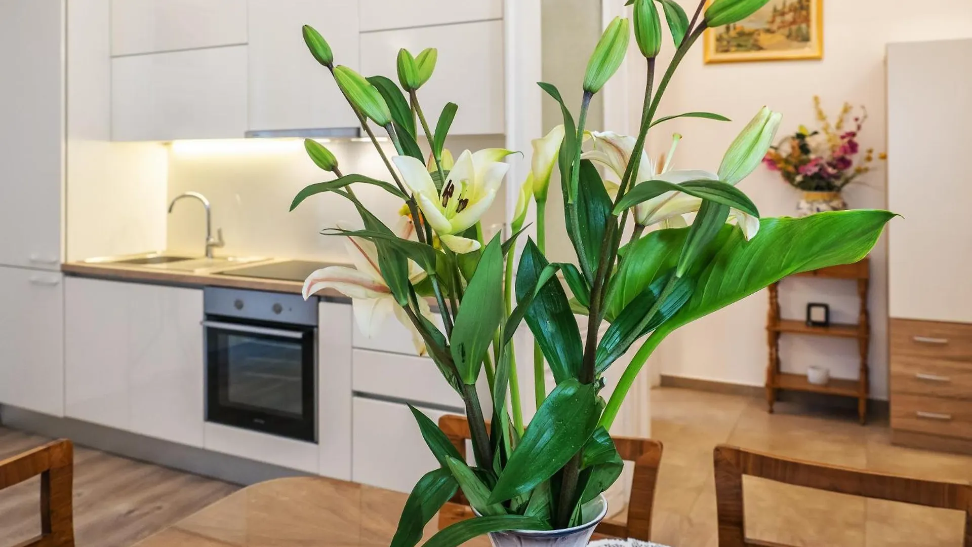 City Center Secession Charm Near National Theatre Split Apartment